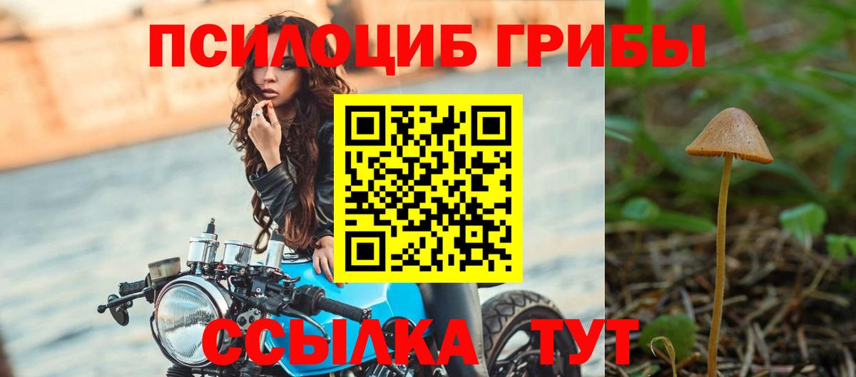 Галлюциногенные грибы Psilocybe Октябрьский